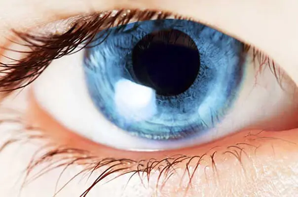 Nahaufnahme blaues Auge